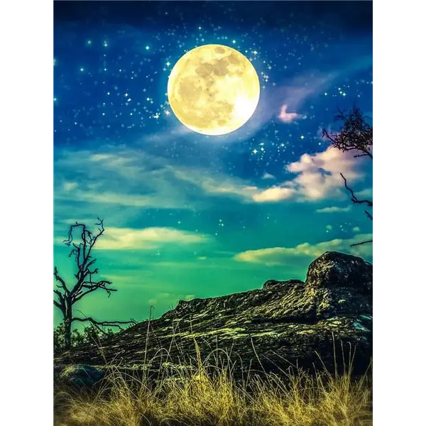 Landscape and Moon - paintings drawings by numbers - 9916777