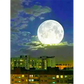 Landscape and Moon - paintings drawings by numbers - 9916783