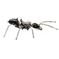 3D Mechanical Metal Model Steampunk - Ground Beetle
