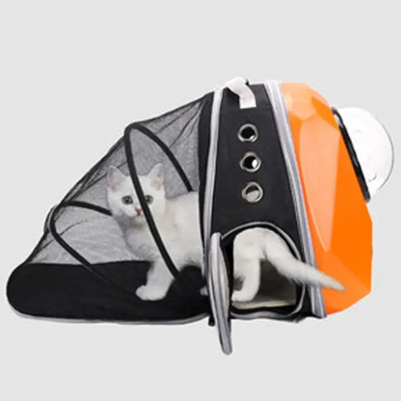 Backpack for carrying pets - toys