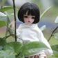 BJD Collectible doll Emika and Emilia 1/6 - toys