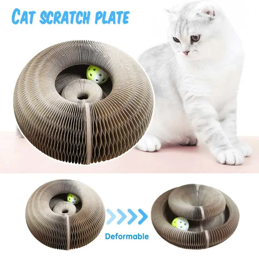 Cat Scratch Plate - toys