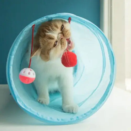 Cat Tunnel - toys