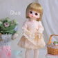 Collectible BJD doll Duo 1/6 - toys