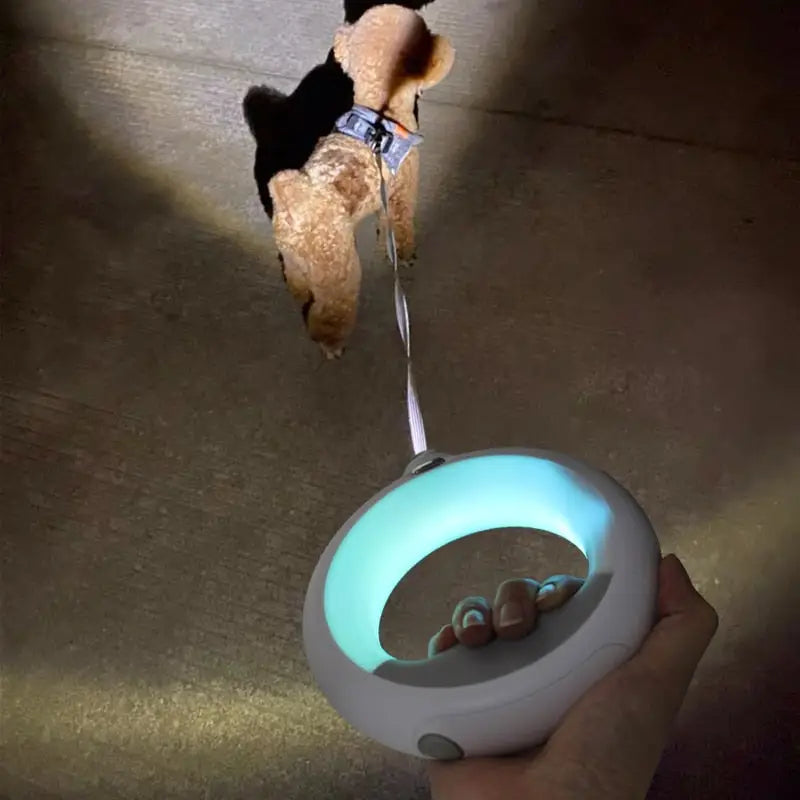 Designer Automatic LED Retractable Dog Leash - White - toys