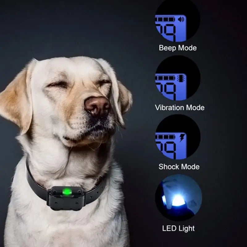 Electric Dog Training Collar - toys