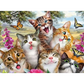 Favorite cats - paintings drawings by numbers - 995687 /