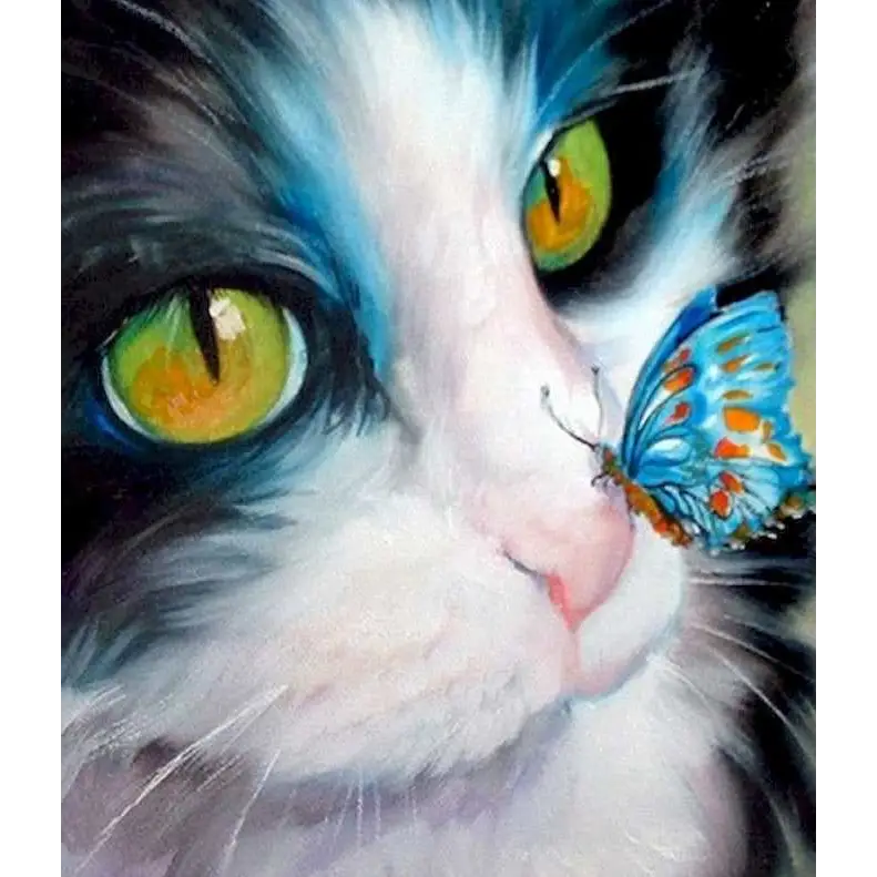 Favorite cats - paintings drawings by numbers - 997280 /