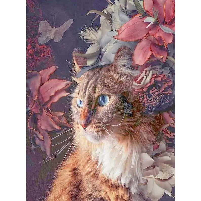 Favorite cats - paintings drawings by numbers - 998104 /