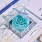 Forever Rose in Jewelry Box - Blue Mirror - toys