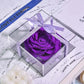 Forever Rose in Jewelry Box - Purple Mirror - toys