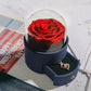 Forever Rose in Jewelry Box - Red Round - toys