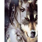 Girl and wolf - paintings drawings by numbers - 9911364 /