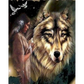 Girl and wolf - paintings drawings by numbers - 9911366 /