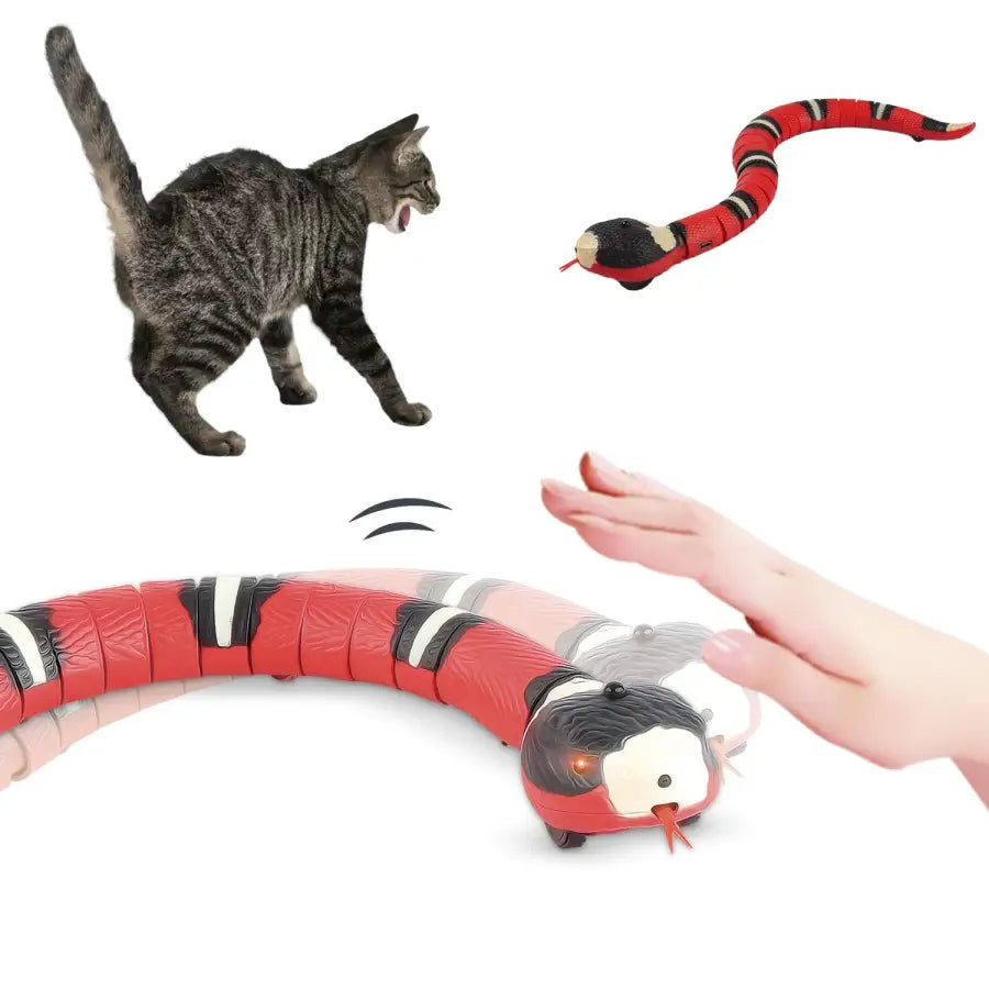 Interactive Snake - toys