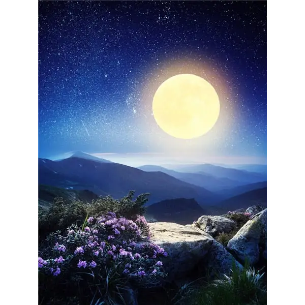 Landscape and Moon - paintings drawings by numbers - 9916775