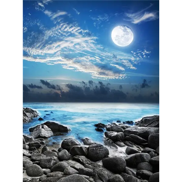 Landscape and Moon - paintings drawings by numbers - 9916785