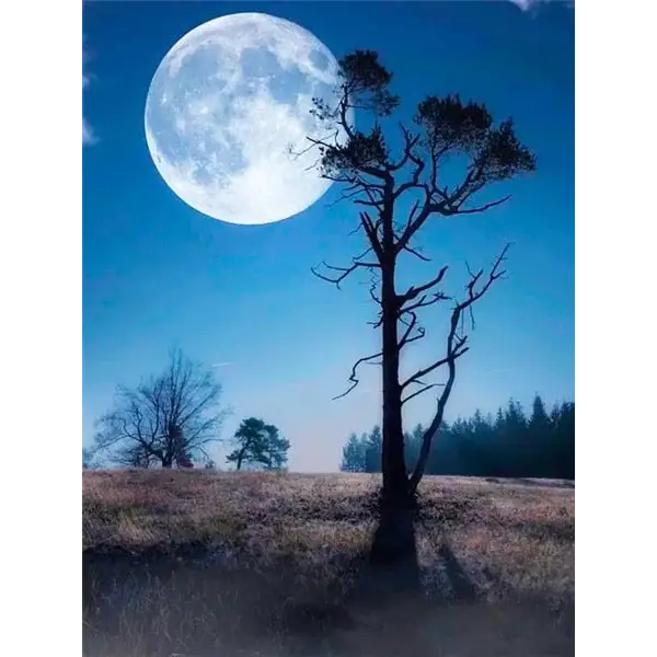Landscape and Moon - paintings drawings by numbers - 9916786