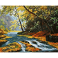 Landscapes of nature - paintings drawings by numbers -