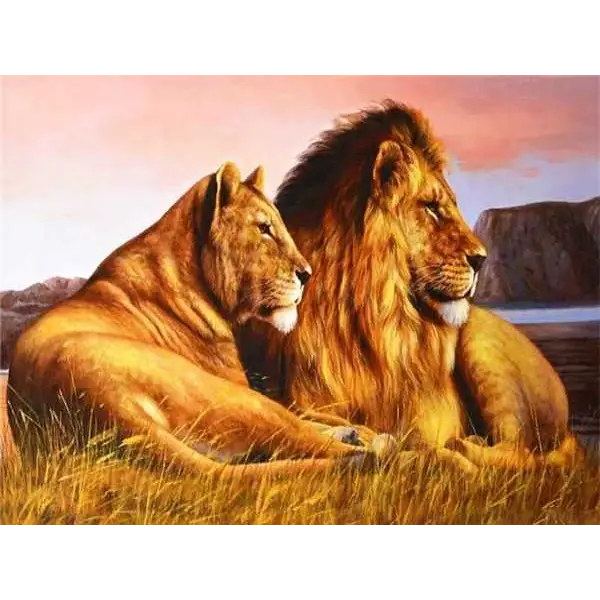 Lion King - paintings drawings by numbers - 9920933 /
