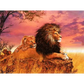 Lion King - paintings drawings by numbers - 9920939 /