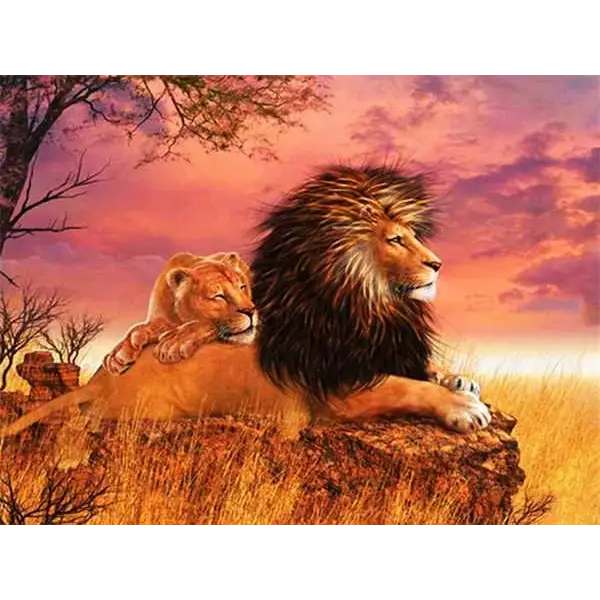 Lion King - paintings drawings by numbers - 9920939 /