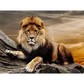 Lion King - paintings drawings by numbers - 9920941 /