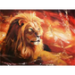 Lion King - paintings drawings by numbers - 9920948 /