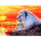 Lion King - paintings drawings by numbers - 9920949 /