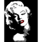 Marilyn Monroe - paintings drawings by numbers - 991258 /