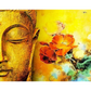Mysterious Buddha - paintings drawings by numbers - 991244 /