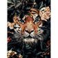 Mystical animals - paintings drawing by numbers - 8080 /