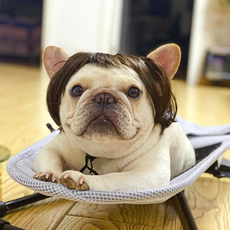 Pet Wig Cosplay Props Dog Cat Cross-Dressing Hair - 03 -