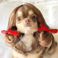 Pet Wig Cosplay Props Dog Cat Cross-Dressing Hair - 05 -