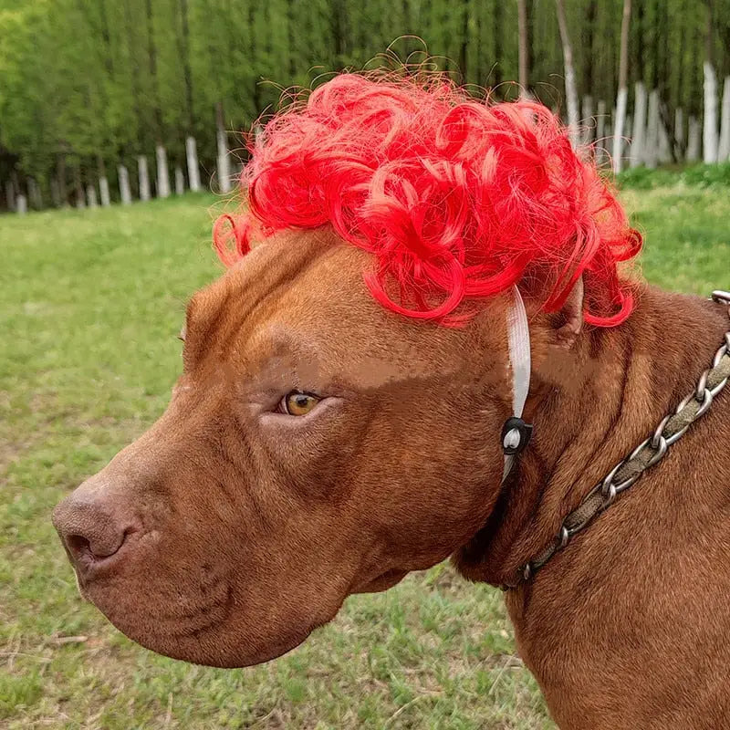 Pet Wig Cosplay Props Dog Cat Cross-Dressing Hair - 06 -
