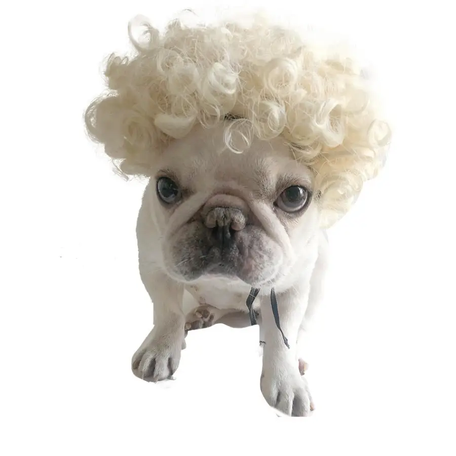 Pet Wig Cosplay Props Dog Cat Cross-Dressing Hair - 08 -
