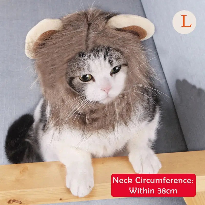 Pet Wig Cosplay Props Dog Cat Cross-Dressing Hair - 12 L -