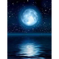 Sea moon - paintings drawings by numbers - 9916480 / 20x30cm