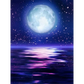Sea moon - paintings drawings by numbers - 9916484 / 20x30cm