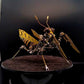 Steampunk Mantis - Metal 3D Puzzle - toys