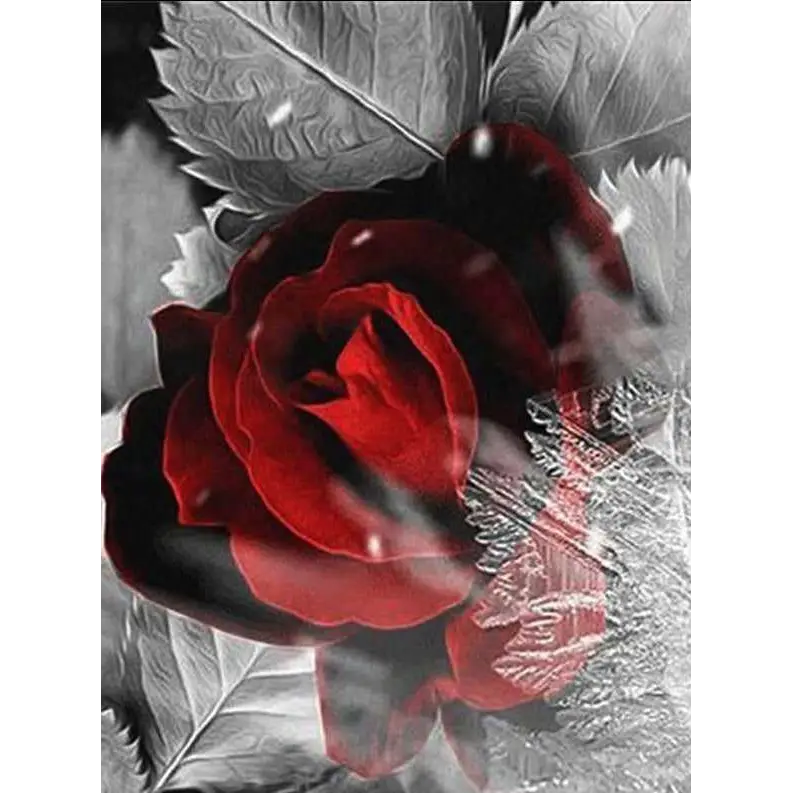 Stunning red roses - paintings drawings by numbers - 998343