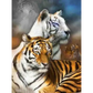 Tigers - paintings drawings by numbers - 9919741 / 20x30cm