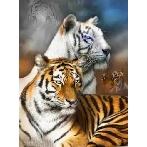 Tigers - paintings drawings by numbers - 9919741 / 20x30cm