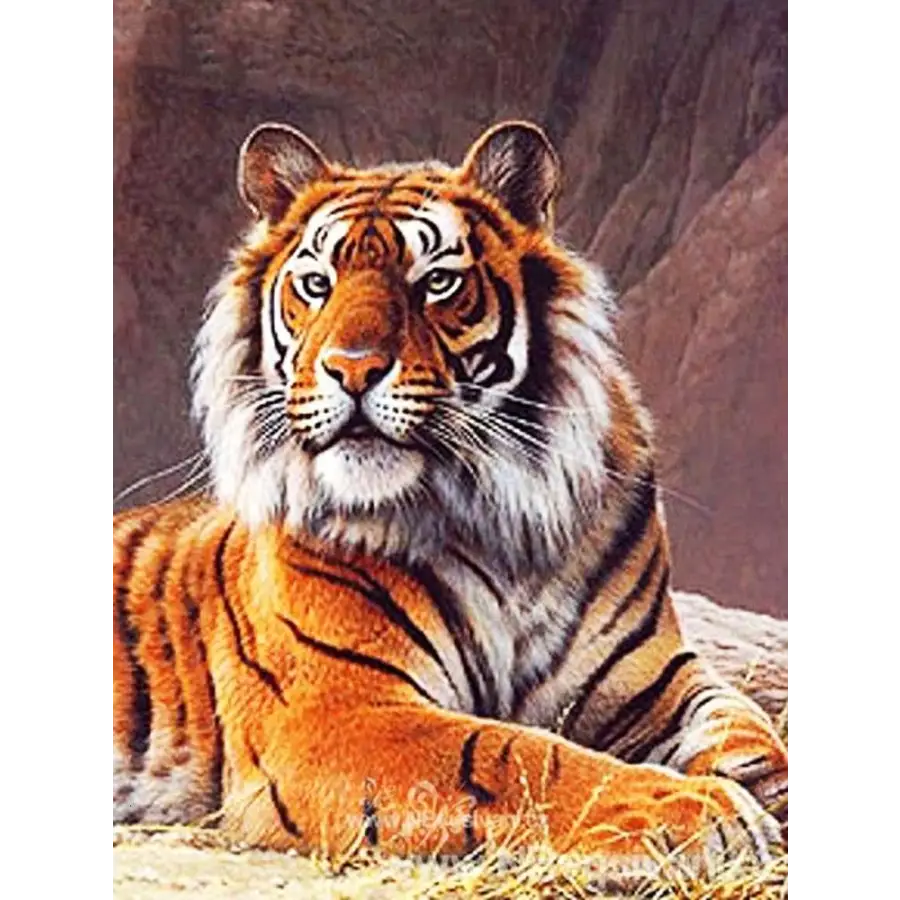 Tigers - paintings drawings by numbers - 9919743 / 20x30cm