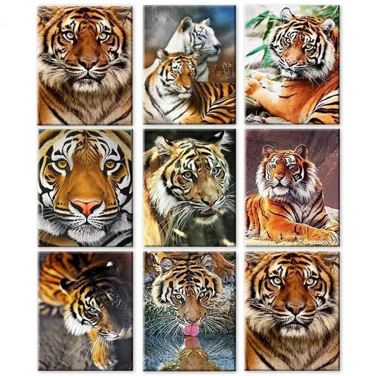 Tigers - paintings drawings by numbers - toys