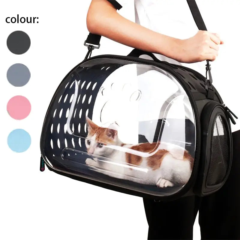 Transparent bag for walking with pets - toys